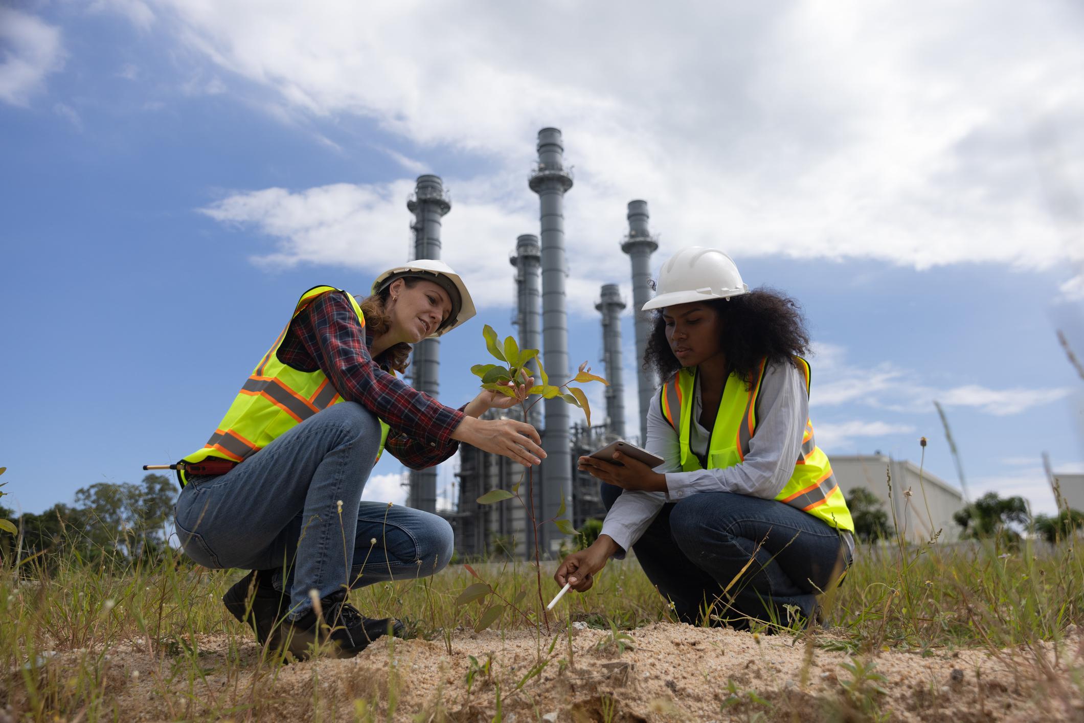 People working with effort to reduce carbon emissions