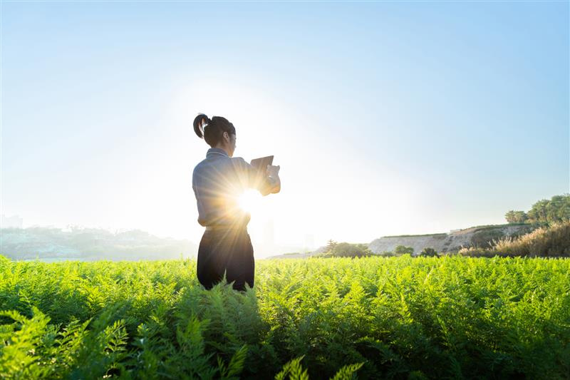 Picture of brain denoting AI with half of it electronic and half of it green and made of vegetation
