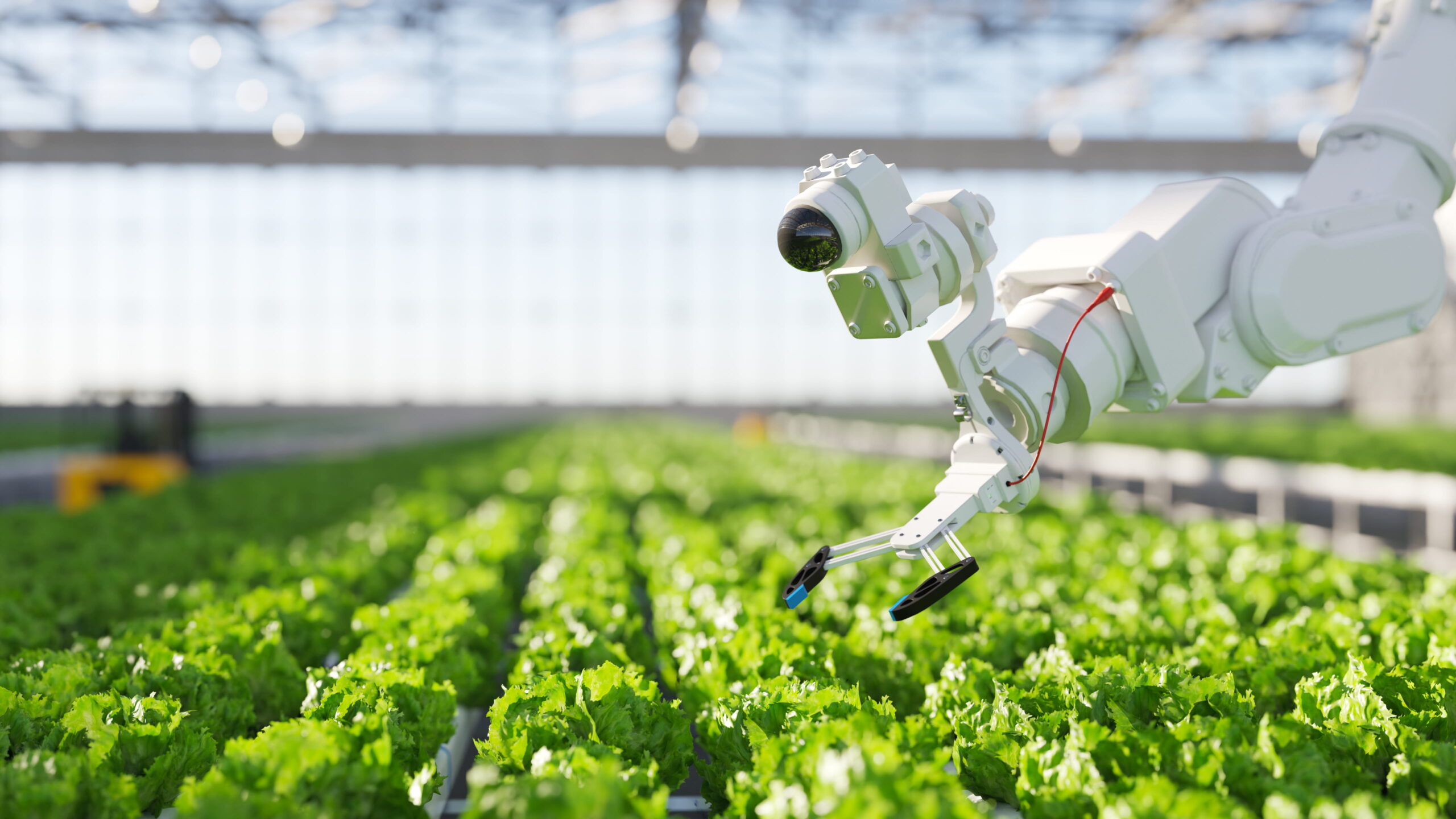 Clean Cooking Program Digitalization