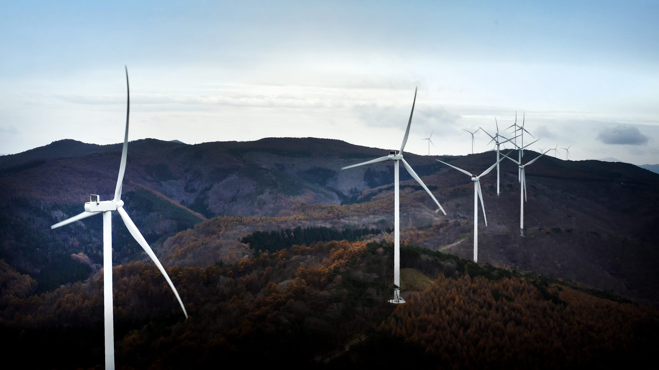 Identifying indirect risk signals in wind farm environments