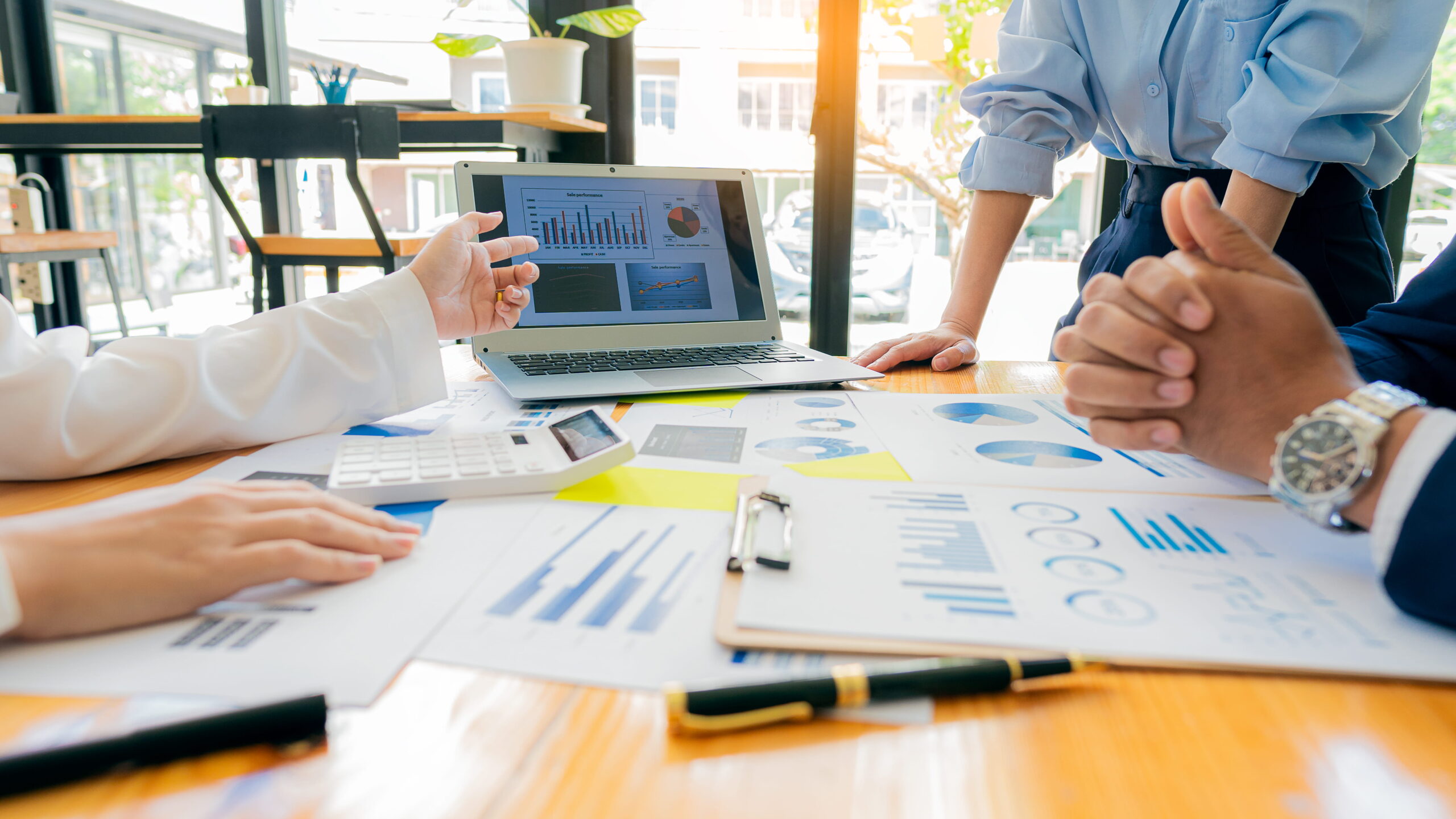 Pricing, promotion, and portfolio optimization