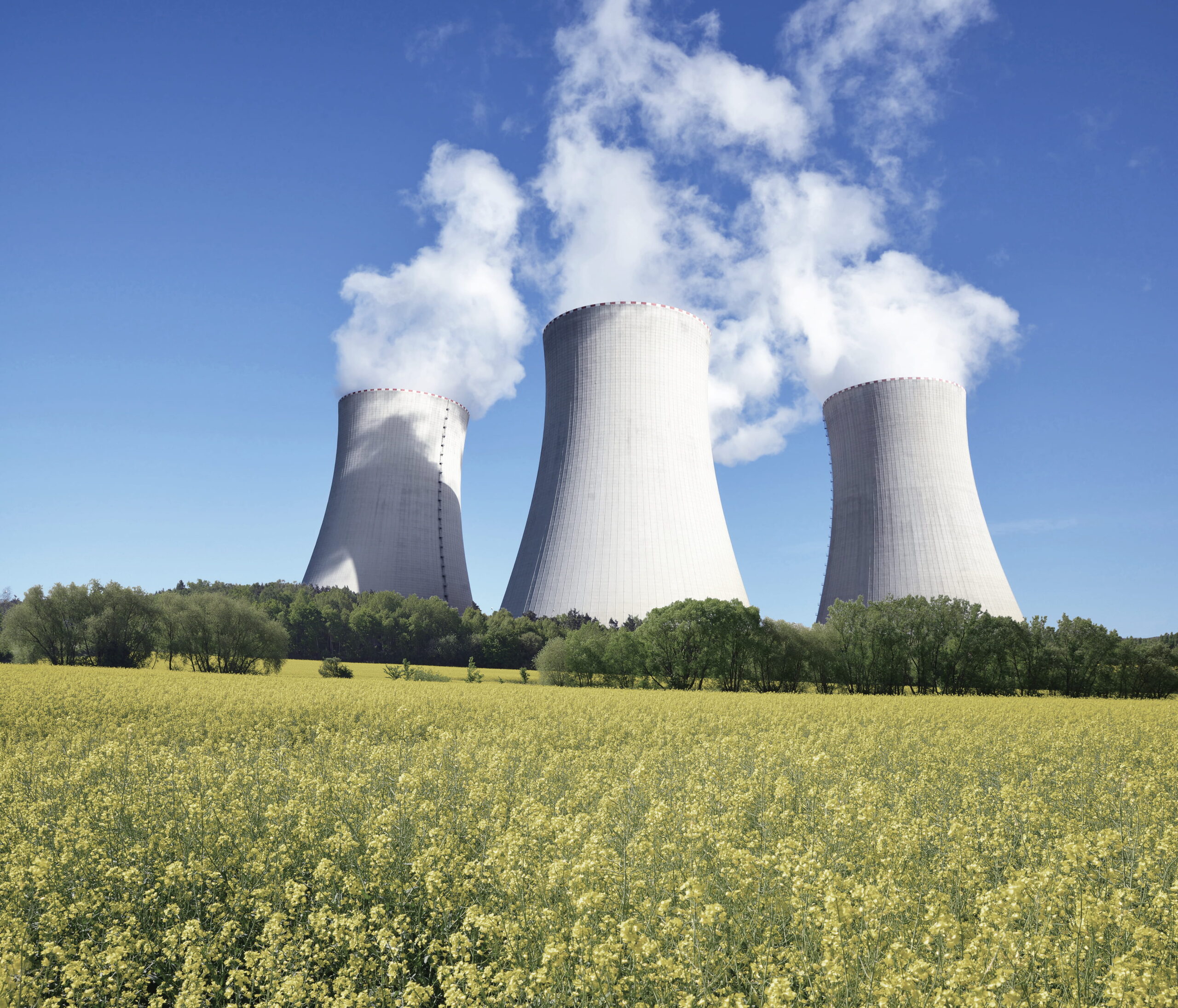 Reducing risk and cost through early debris detection