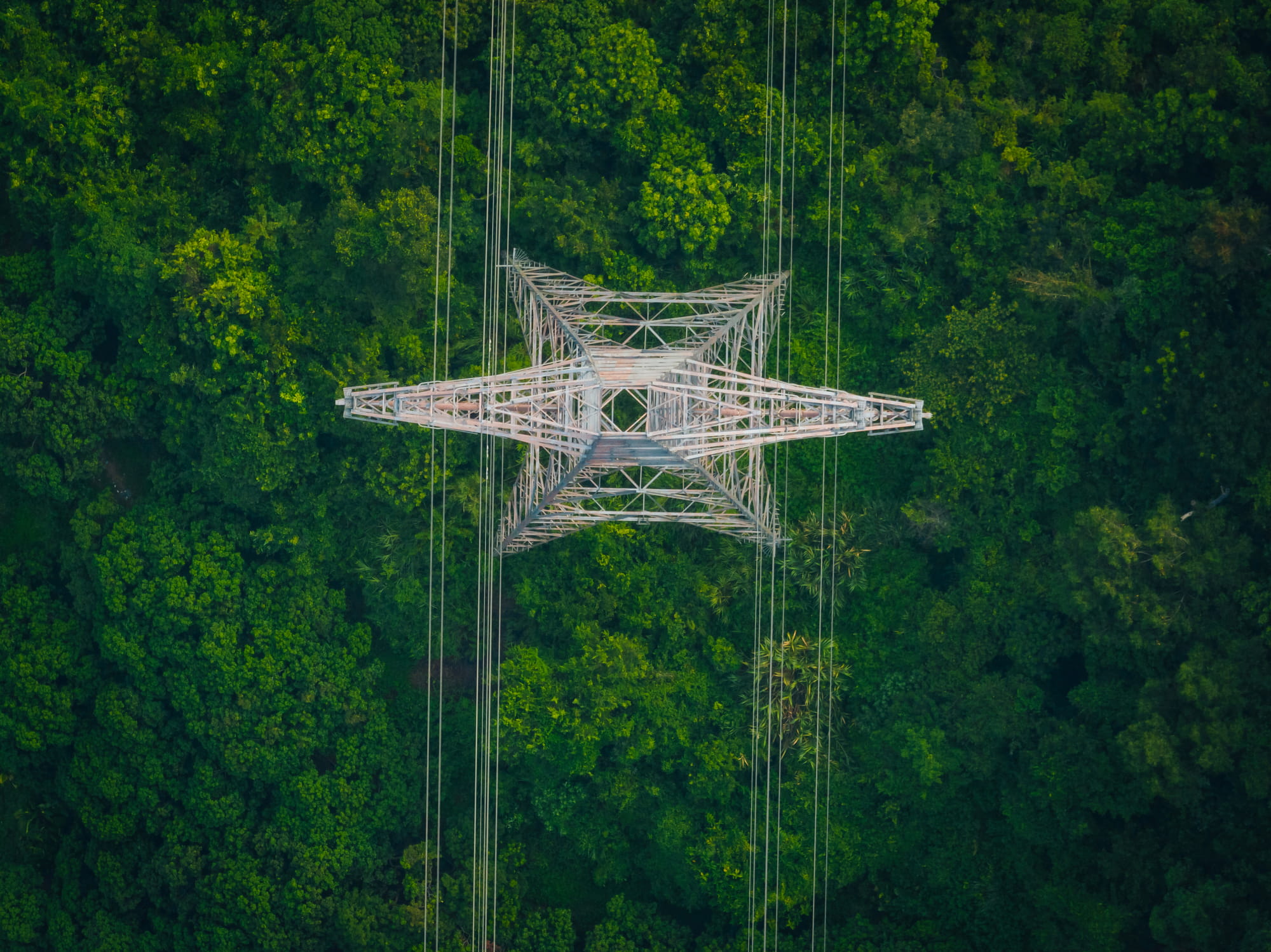 electric tower with green forest