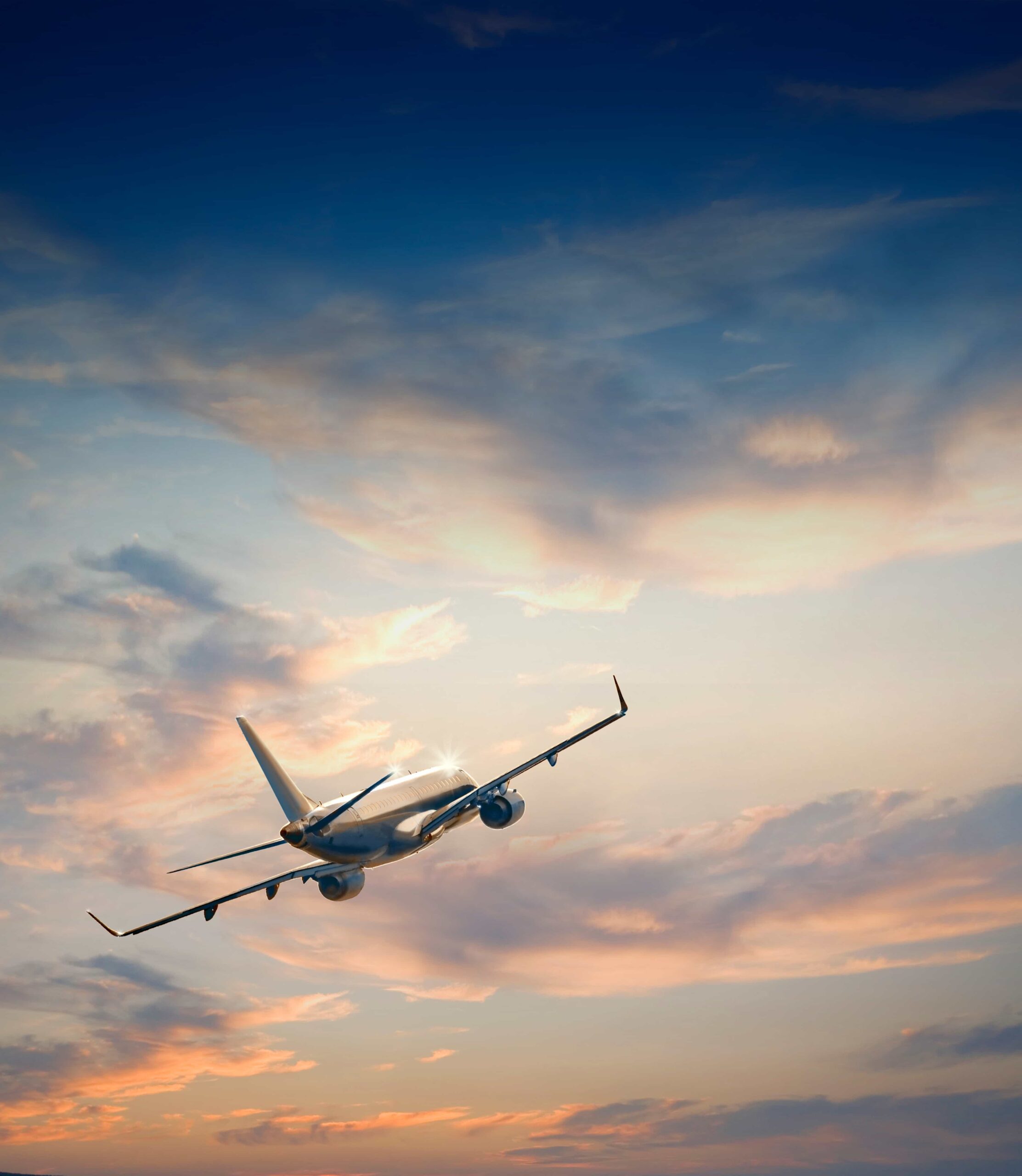 An airplane in flight