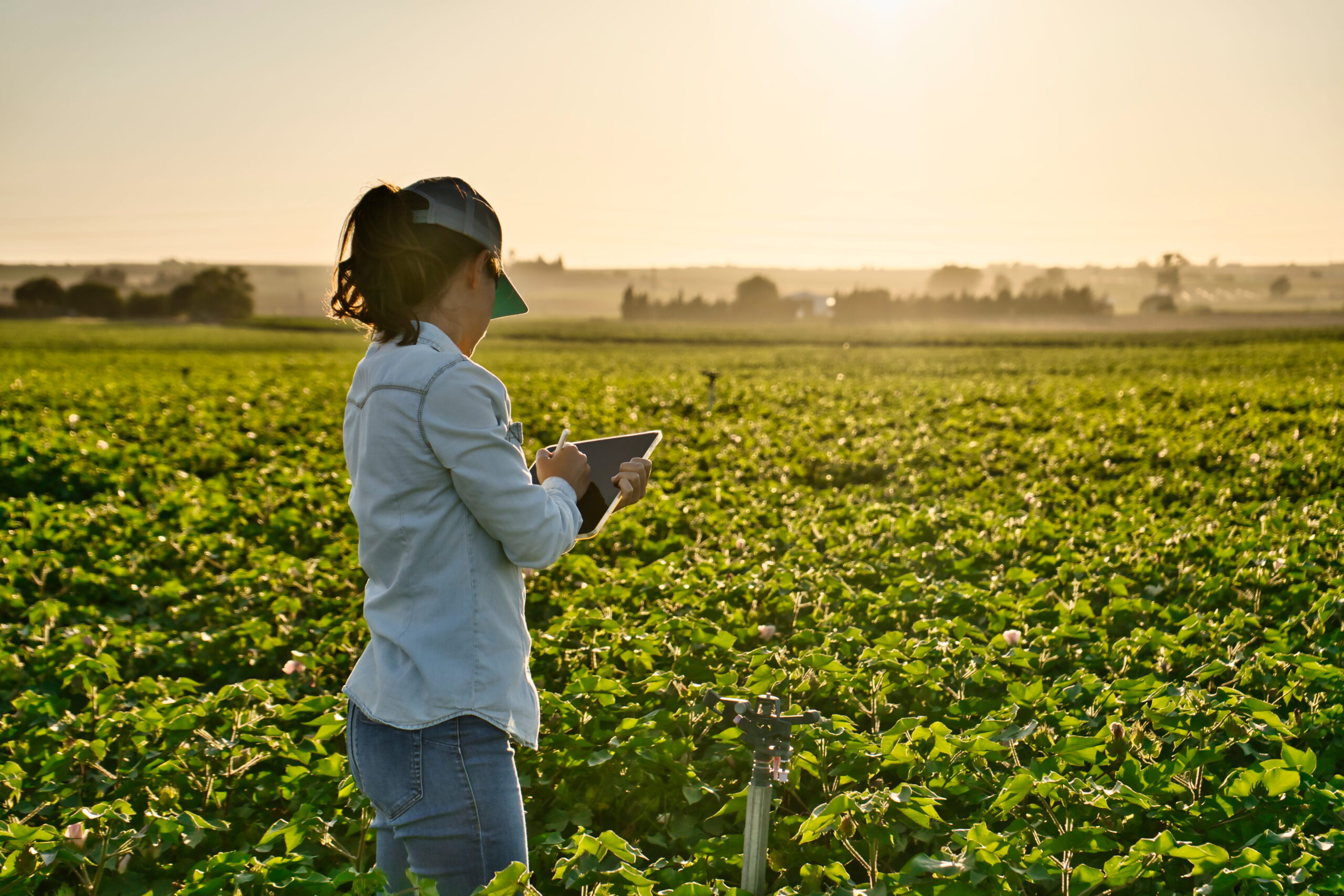 Complexity in managing diverse field use cases