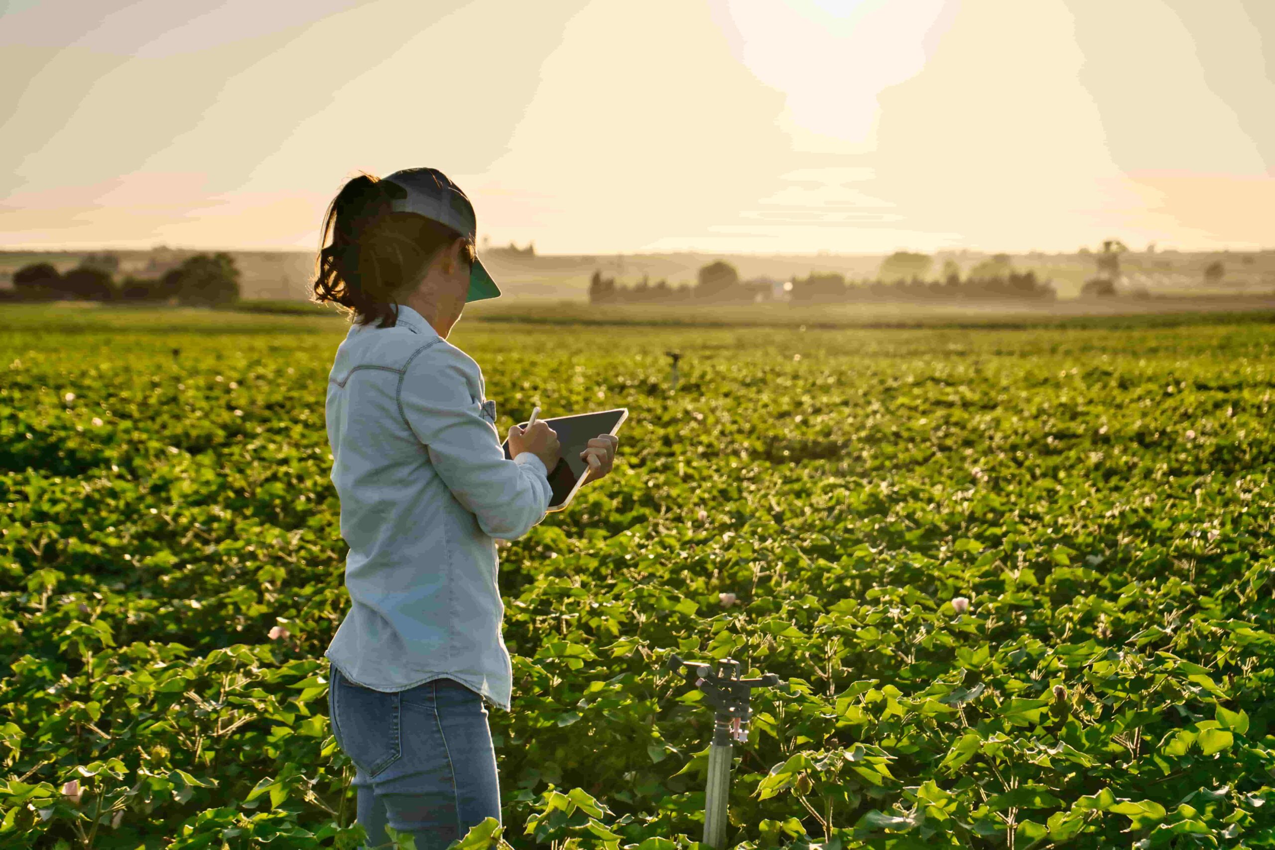 Environmental Monitoring Limitations