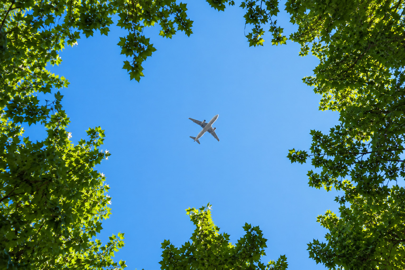 Passenger aircraft flying across a clear blue sky, framed by sunlit green tree leaves, symbolizing the transition toward more sustainable aviation.
